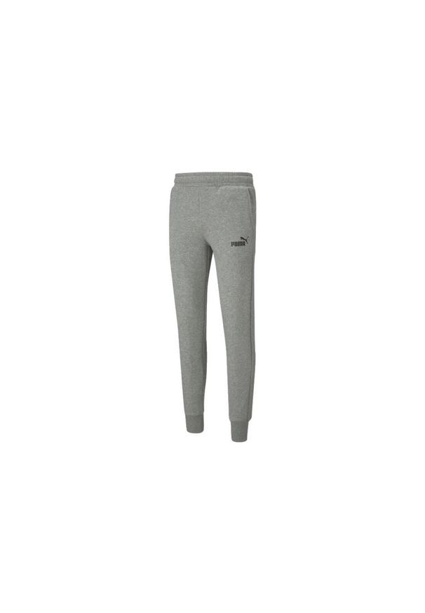 Spodnie Puma Essentials Slim, Mężczyźni. Kolor: szary. Materiał: bawełna