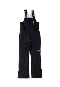 Spodnie narciarskie damskie Colourwear Slash Bib. Kolor: czarny. Sezon: zima. Sport: narciarstwo