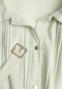 Renee - Zielona Koszulowa Sukienka z Plisowanymi Zdobieniami i Paskiem z Klamrą Efrivelle. Okazja: na co dzień. Kolor: zielony. Długość rękawa: długi rękaw. Wzór: aplikacja. Typ sukienki: koszulowe. Styl: casual, elegancki, klasyczny #4