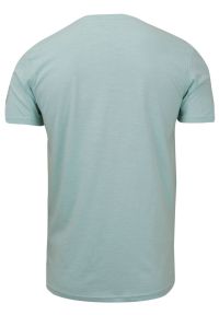 Męska, Zielona Koszulka (T-shirt) - Brave Soul - Hipis pod Palmą. Okazja: na co dzień. Kolor: zielony. Materiał: bawełna. Wzór: nadruk. Styl: casual #2