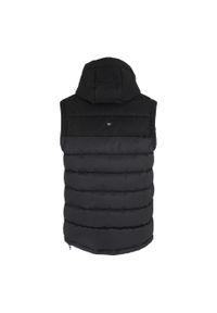 Regatta - Męski Ogrzewacz Do Ciała Aldthorn. Kolor: wielokolorowy, szary, fioletowy, czarny. Styl: sportowy. Sport: turystyka piesza #2