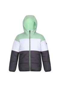 Regatta - Kurtka Dziecięca Lofthouse VII Terrain Print Padded Jacket. Kolor: biały, zielony, wielokolorowy. Materiał: puch. Wzór: nadruk. Styl: sportowy #1