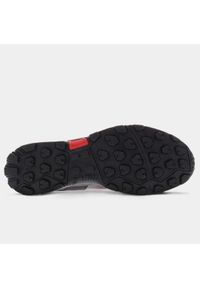Buty do biegania męskie, Inov-8 Roclite G 315 GTX. Kolor: czarny, szary, wielokolorowy, czerwony. Materiał: guma, syntetyk, materiał. Sport: bieganie