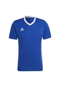 Adidas - Koszulka piłkarska męska adidas Entrada 22 Jersey. Kolor: biały, wielokolorowy, niebieski. Materiał: jersey. Sport: piłka nożna