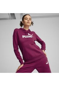 Puma - Damska bluza z kapturem i logo Essentials FL PUMA Magenta Gleam Pink. Typ kołnierza: kaptur. Kolor: różowy