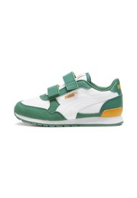 Puma Buty St Runner V3 Nl Ps 38490214. Kolor: zielony