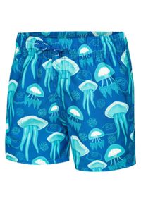 Aqua Speed - Szorty Pływackie Finn Jellyfish 12/14 Dla Dzieci. Kolor: wielokolorowy, niebieski, biały