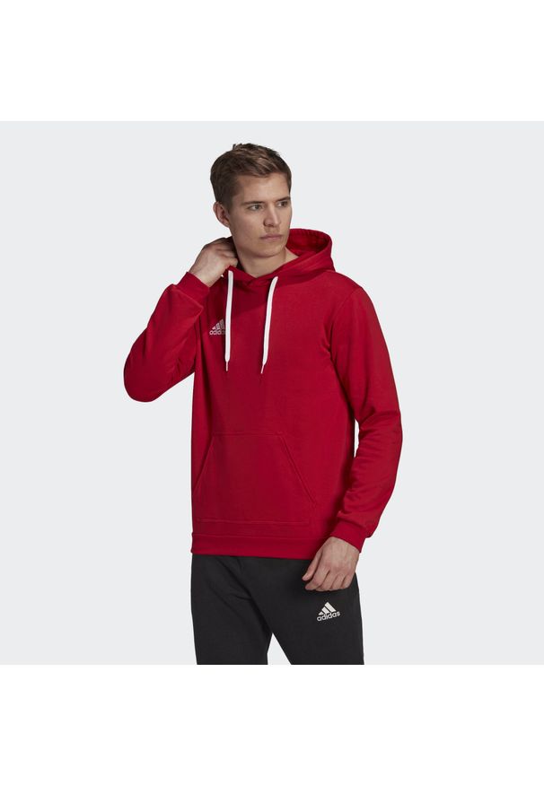 Bluza do piłki nożnej męska Adidas Entrada 22. Typ kołnierza: kaptur. Kolor: czerwony. Materiał: poliester, bawełna. Sport: piłka nożna