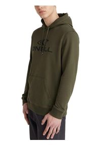 Męska bluza z kapturem O'Neill O'Neill Hoodie. Typ kołnierza: kaptur. Kolor: zielony