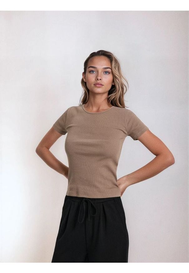 Sinsay - Bawełniana koszulka basic - brązowy. Kolor: brązowy. Materiał: bawełna