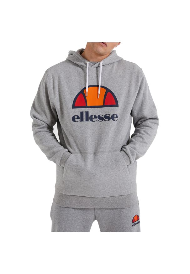 Bluza treningowa męska Ellesse Dahryl Oh Hoody. Kolor: szary. Sport: koszykówka