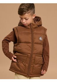 Sinsay - Kurtka ocieplana z kapturem i odpinanymi rękawami - brązowy. Typ kołnierza: kaptur. Kolor: brązowy #1