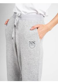 Pinko Spodnie "Teroldego" | 1G16B5 Y79Q | Teroldego | Kobieta | Szary. Okazja: na co dzień. Kolor: szary. Materiał: kaszmir, wełna. Styl: casual #7