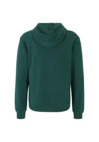 Bluza męska Fila Bengel. Kolor: zielony. Materiał: dresówka