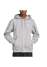 Adidas - Bluza męska adidas Originals Trefoil Essentials Loose Hoodie JV6057 - szara. Typ kołnierza: kaptur. Kolor: szary. Materiał: bawełna, poliester. Styl: klasyczny #1