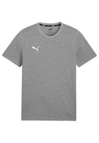 Koszulka sportowa męska Puma Team Goal Casuals. Kolor: szary. Materiał: bawełna. Długość rękawa: krótki rękaw. Długość: krótkie