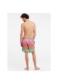 Spodenki męskie Protest PRTMANLY beachshort. Kolor: zielony, żółty, brązowy, wielokolorowy