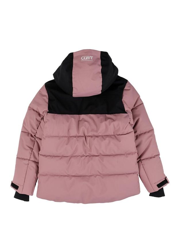 Kurtka narciarska dziecięca Colourwear Pole. Kolor: różowy. Sport: narciarstwo