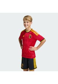 Adidas - Dziecięca koszulka podstawowa Belgia 26. Kolor: żółty, czerwony, wielokolorowy. Technologia: ClimaCool (Adidas). Sport: piłka nożna #1