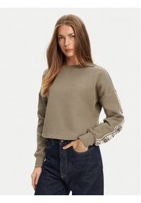 Guess Bluza V3BQ16 KB3P2 Brązowy Regular Fit. Kolor: brązowy. Materiał: bawełna