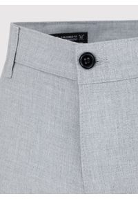 Pako Lorente - PAKO LORENTE – gładkie jasnoszare spodnie. Kolor: szary. Materiał: poliester, wiskoza, elastan. Wzór: gładki. Sezon: wiosna #4