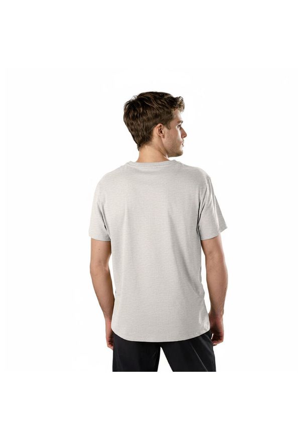 Aulp - Koszulka męska AULP TICCO bawełniana z recyklingu klasyczna komfortowa. Okazja: na co dzień. Typ kołnierza: polo. Kolor: szary. Materiał: bawełna. Styl: klasyczny