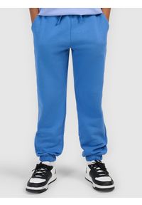 4f - 4F Spodnie dresowe joggery chłopięce - niebieskie 134 (8-9 lat). Okazja: na co dzień, na spacer, na uczelnię. Kolor: niebieski. Materiał: dresówka. Sezon: lato. Styl: casual, sportowy #2
