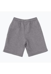 Spodenki dziecięce Nike Park 20 Short. Kolor: szary