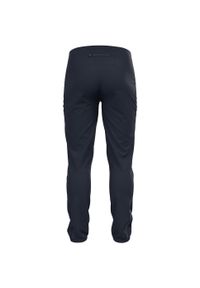 Spodnie tech. męskie Odlo Pants BRENSHOLMEN. Kolor: niebieski
