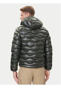 Blauer Kurtka przejściowa 25WBLUC02080 Zielony Regular Fit. Kolor: zielony. Materiał: syntetyk #5