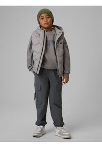 4f - 4F Bezrękawnik z wypełnieniem syntetycznym chłopięcy - szara 128 (7-8 lat). Okazja: na spacer, na co dzień, na uczelnię. Typ kołnierza: kołnierzyk stójkowy. Kolor: szary. Materiał: syntetyk. Długość rękawa: bez rękawów. Sezon: lato. Styl: casual #2