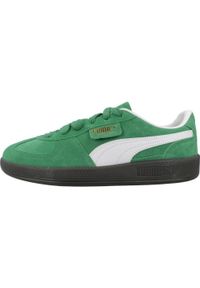 Tenisówki Puma Model Palermo Jr Kolor Zielony. Kolor: zielony, biały, wielokolorowy. Materiał: syntetyk, skóra. Sport: turystyka piesza