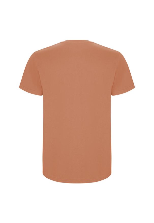 ROLY - Męska Koszulka Stafford. Kolor: pomarańczowy. Sport: turystyka piesza