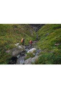 FORCLAZ - Kurtka trekkingowa męska Forclaz MT900 wodoodporna. Kolor: wielokolorowy, czarny, szary. Materiał: materiał, tkanina. Sport: wspinaczka
