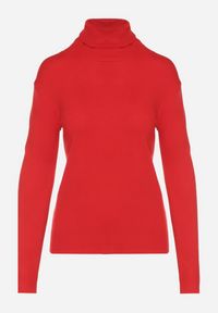 Born2be - Czerwony Klasyczny Golf z Bawełną Reilisea. Okazja: na co dzień. Typ kołnierza: golf. Kolor: czerwony. Materiał: bawełna. Styl: klasyczny #4