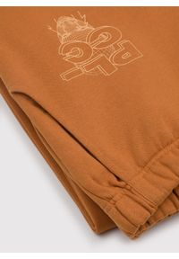 Pako Lorente - Spodnie dresowe pomarańczowe C22WF-WD-001-A-0. Okazja: na co dzień. Kolor: pomarańczowy. Materiał: dresówka. Styl: casual #4