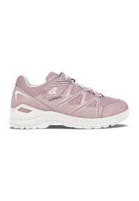 Buty do chodzenia dla dzieci Lowa Innox Evo Gtx Low. Kolor: różowy. Materiał: materiał, syntetyk. Szerokość cholewki: normalna. Sport: turystyka piesza