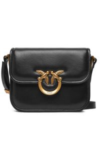 Pinko - PINKO Torebka Love Box Bag Fl Mini PE 25 PLTT 104297 A26J Czarny. Kolor: czarny. Materiał: skórzane