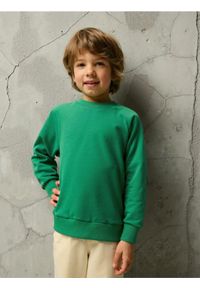Sinsay - Bluza - zielony. Kolor: zielony
