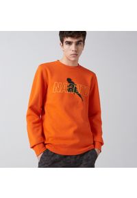 Cropp - Bluza Naruto - Pomarańczowy. Kolor: pomarańczowy #1