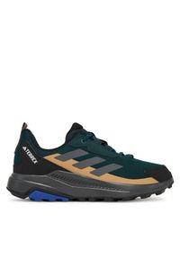 Adidas - Trekkingi adidas. Kolor: zielony. Model: Adidas Terrex. Sport: turystyka piesza #1