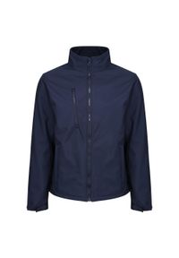 Regatta - Męski Softshell Ablaze. Kolor: niebieski. Materiał: softshell. Sport: turystyka piesza #1