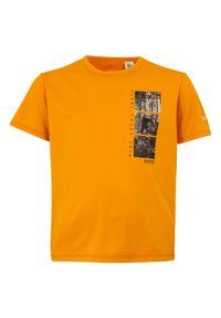 Regatta - T-shirt Dziecięca Jazda Rowerem Alvarado IX. Kolor: pomarańczowy. Sport: kolarstwo