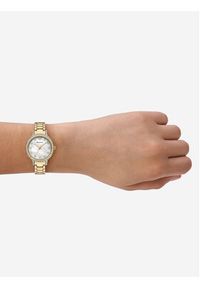 Emporio Armani Zegarek Cleo AR11652 Złoty. Kolor: złoty