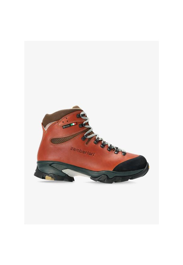 Buty trekkingowe męskie Zamberlan Vioz Lux GTX RR. Kolor: brązowy. Sport: turystyka piesza