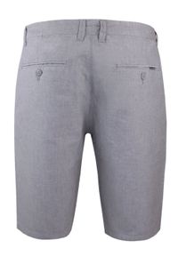Bawełniane Męskie Krótkie Spodenki (Szorty) - Pako Jeans - Popielate. Kolor: szary. Materiał: bawełna. Długość: krótkie. Sezon: lato. Styl: klasyczny #4