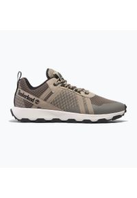 Buty męskie Timberland Winsor Trail Low Lace. Kolor: brązowy