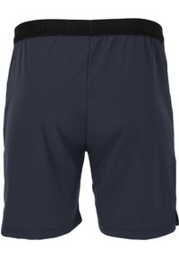 VIRTUS - Szorty Virtus Blag V2. Kolor: niebieski. Sport: fitness