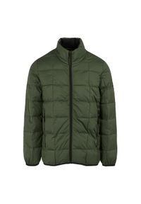 Regatta - Męska Ocieplana Kurtka Wilnor. Kolor: zielony. Materiał: puch. Sport: turystyka piesza #1