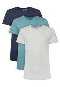 Calvin Klein Underwear Komplet 3 t-shirtów LV00NB4051 Kolorowy Regular Fit. Materiał: bawełna. Wzór: kolorowy #1